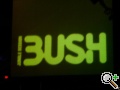 BUSH